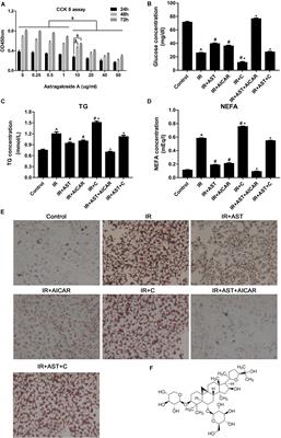 Astragaloside IV Inhibits Triglyceride Accumulation in Insulin-Resistant HepG2 Cells via AMPK-Induced SREBP-1c Phosphorylation